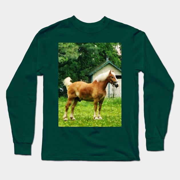 Horses - Palomino in Pasture Long Sleeve T-Shirt by SusanSavad